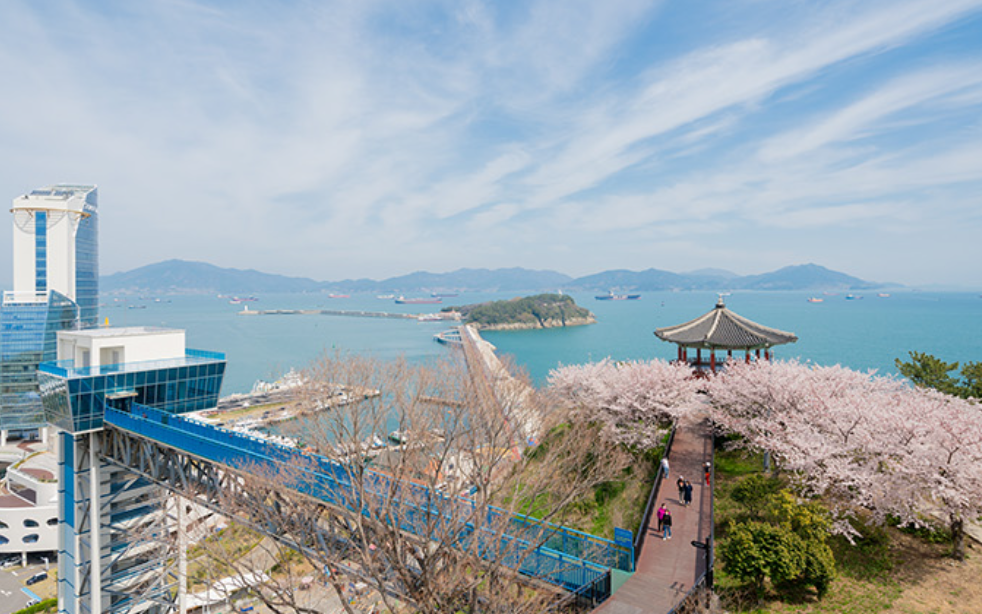 여수해상케이블카 낮에 벚꽃과 어우러진 광경
