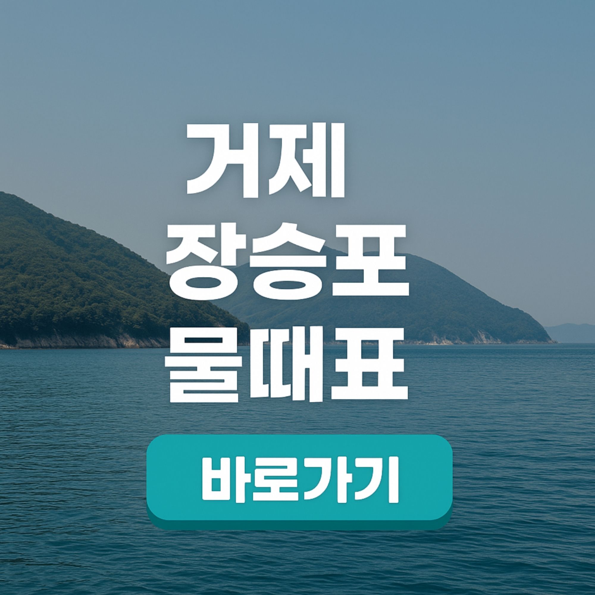 거제 장승포 물때표 낚시 필승 전략 만조 간조 최적 시간과 포인트 공략법