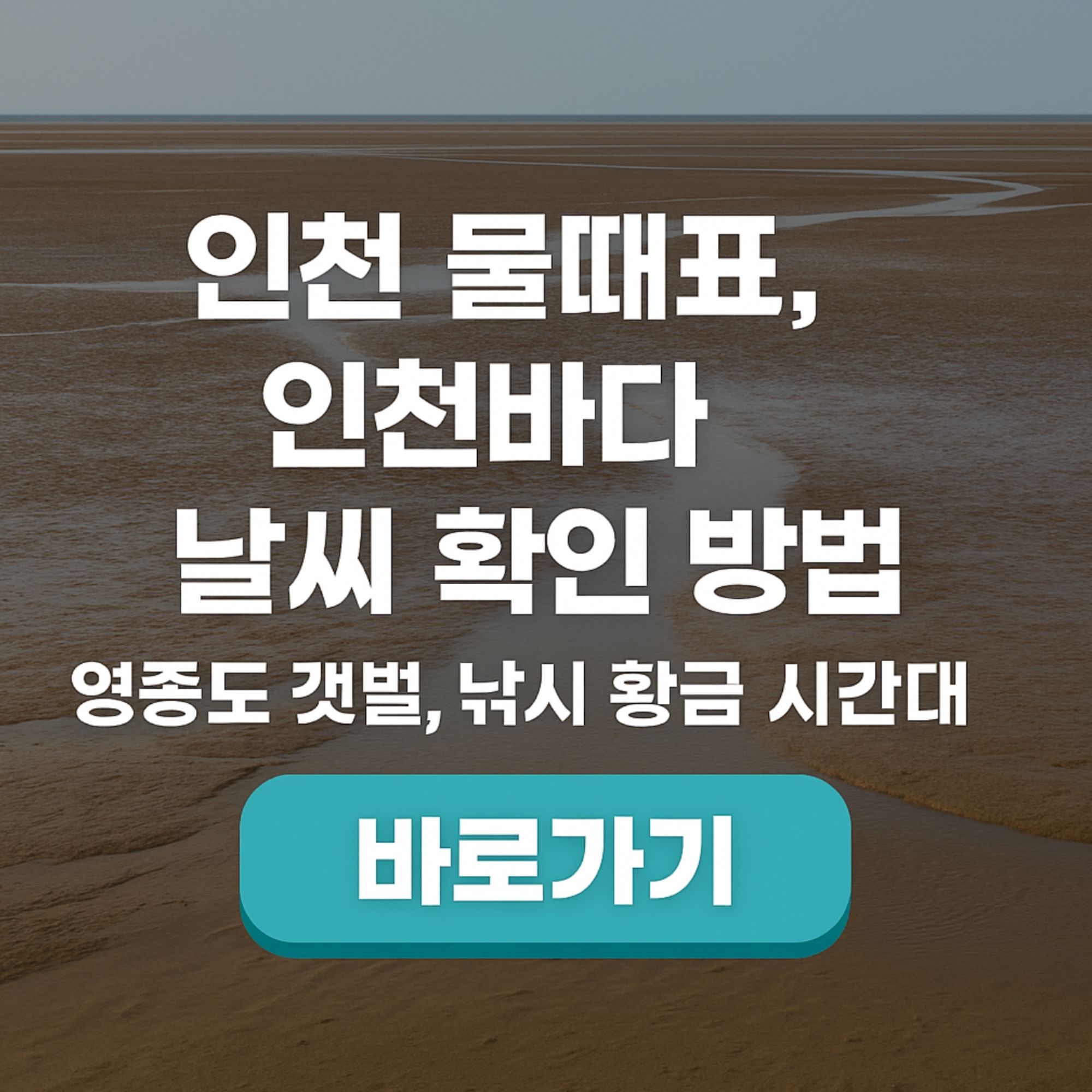 인천 물때표, 인천바다 물때 날씨 확인 방법 영종도 갯벌, 낚시 황금 시간대