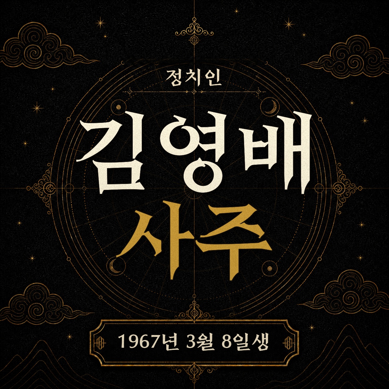 정치인 김영배 사주팔자 분석 2