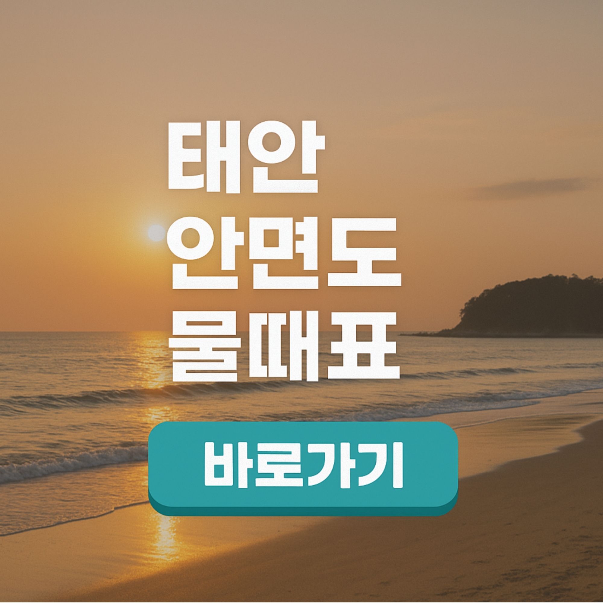 태안 안면도 물때표 서해 해루질 가능한 시간 조수정보 총정리