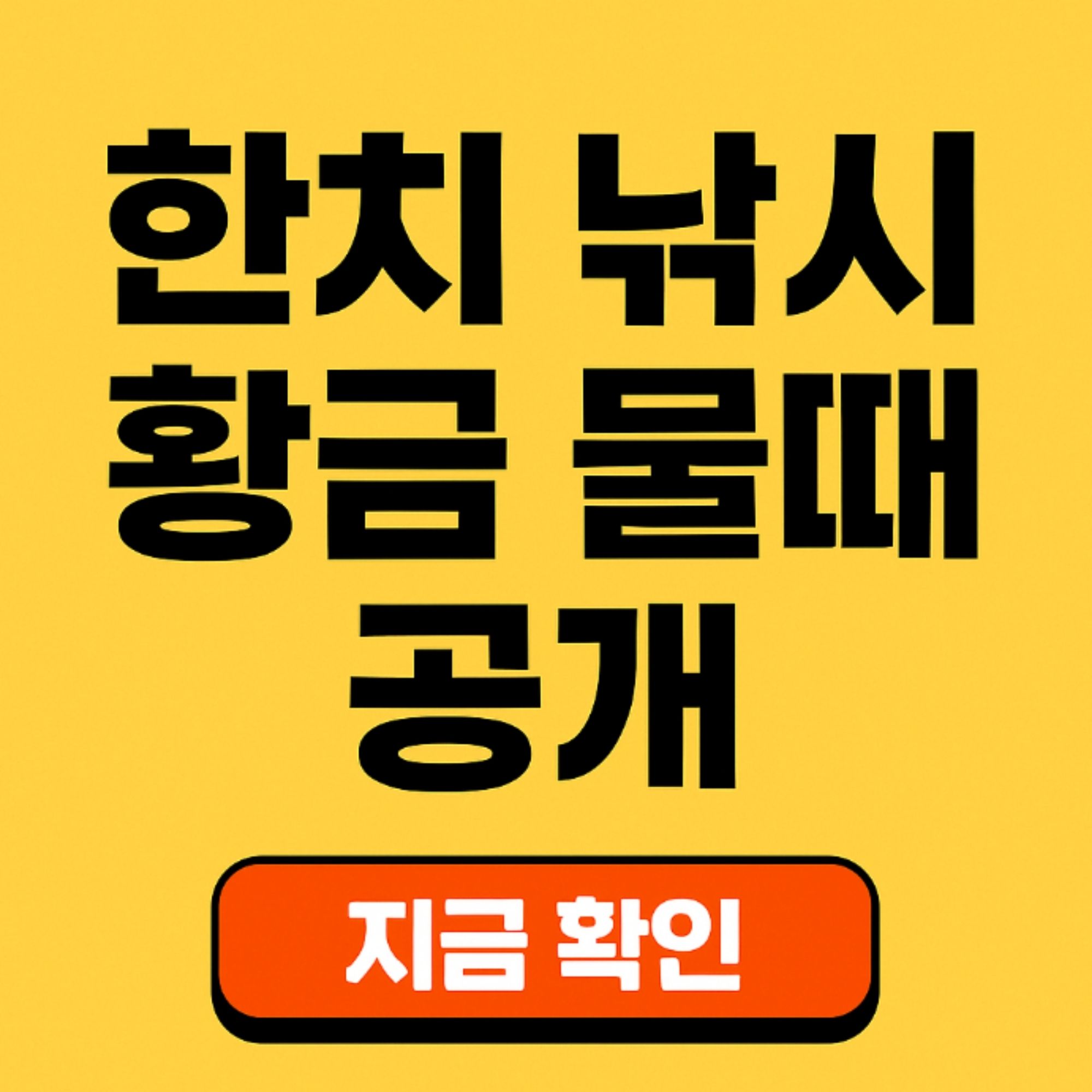 한치낚시황금물때