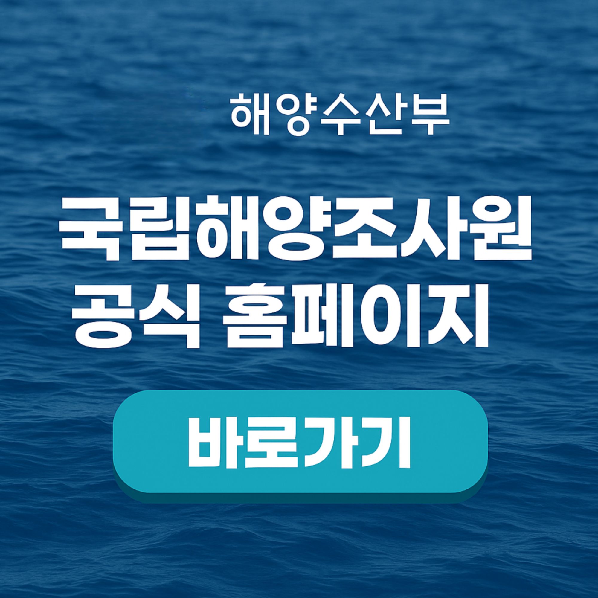해양수산부 국립해양조사원 홈페이지 바로가기
